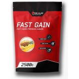 Do4a Lab Fast Gain 2.5 кг (Ваниль Карамель-фундук Клубника-Банан Латте Шоколад)